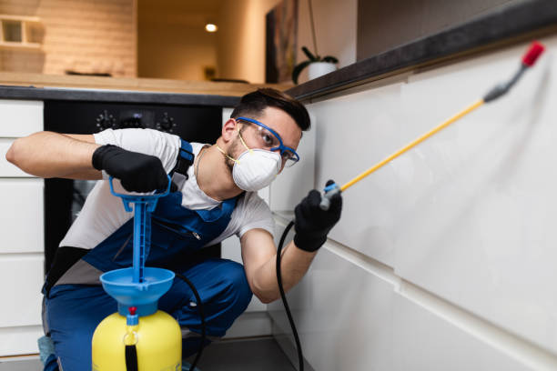Best Pest Control Treatment  in Arial, SC