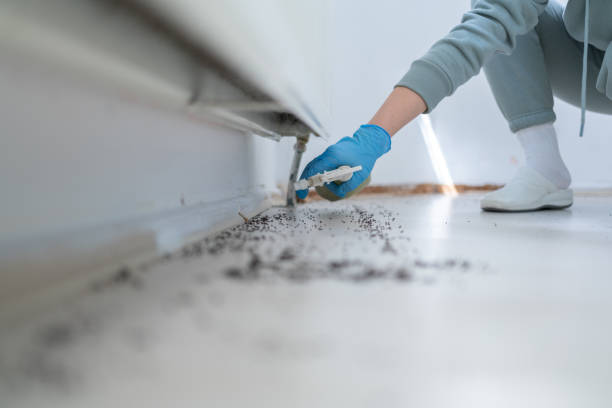 Pest Control for Restaurants in Arial, SC