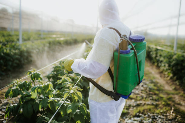 Best Bed Bug Extermination  in Arial, SC